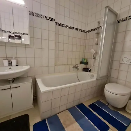 Ferienwohnung In Zwickau דירה *