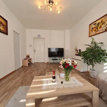 Ferienwohnung In Zwickau דירה *