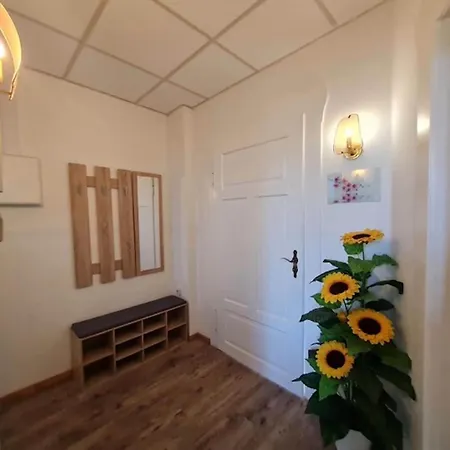 Ferienwohnung In Zwickau דירה *