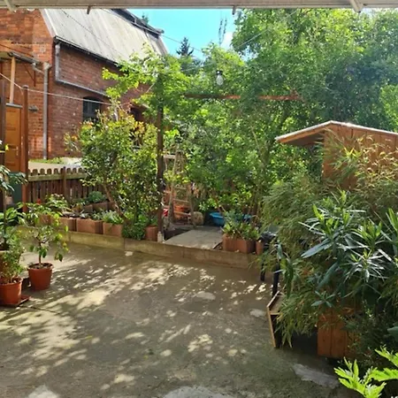 Ferienwohnung In Zwickau דירה *