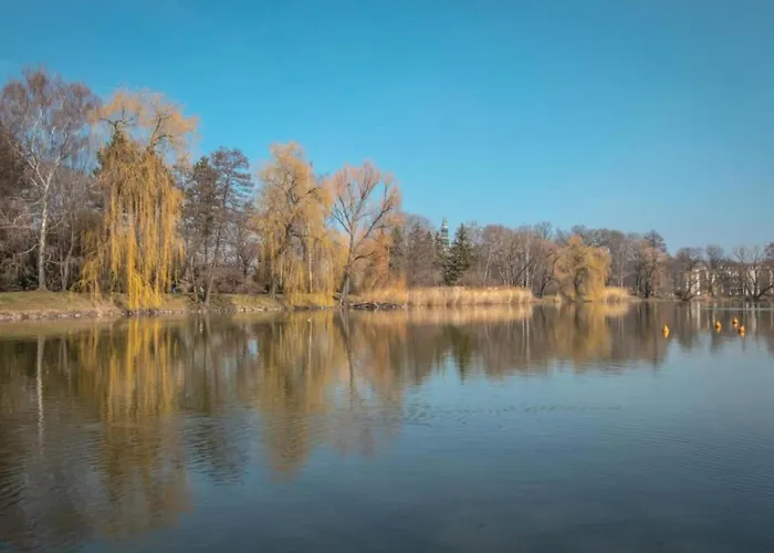 In شقة اتسوكو